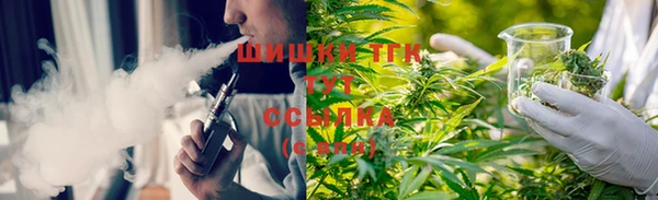 дмт Аркадак