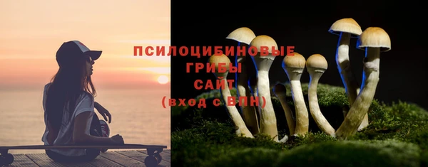 первитин Арсеньев