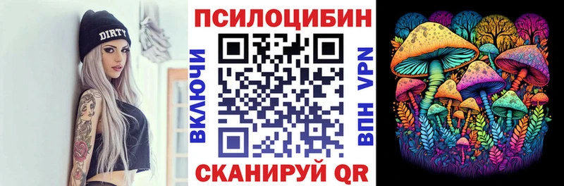 дарнет шоп  blacksprut рабочий сайт  Псилоцибиновые грибы Psilocybine cubensis  Моздок 